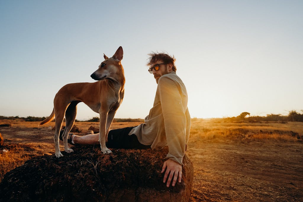 Photo of Man Sitting on Rock With His Brown Dog wearing summer clothing