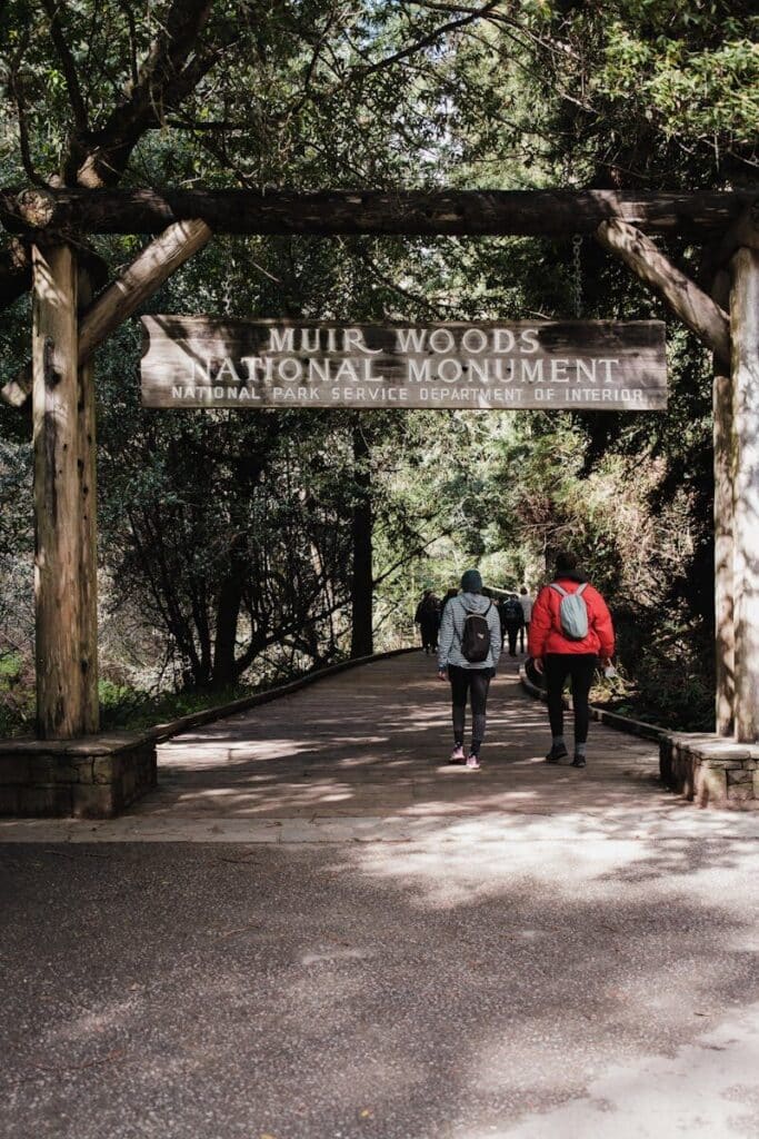 Top Things to Do in San Francisco During the World Cup 2026 14 Entrance path to Muir Woods with visitors walking under trees