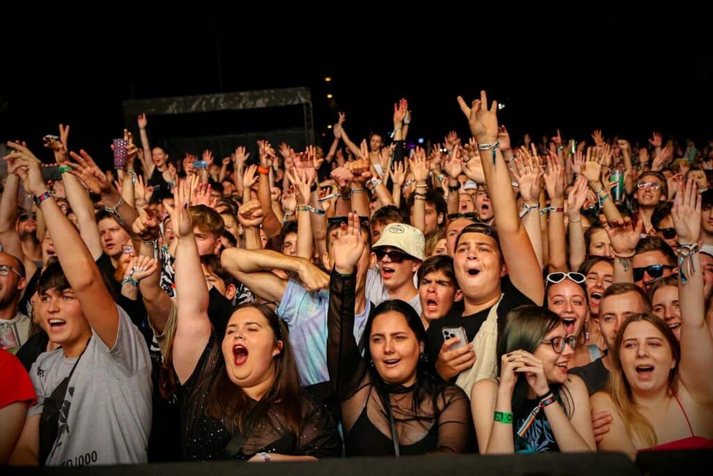 Crowd cheering at a live concert during a festival