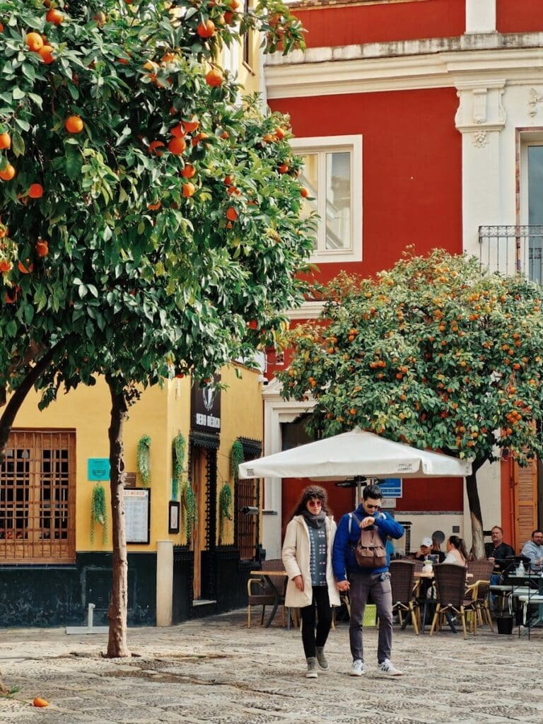 Seville street with orange trees and traditional buildings Spain