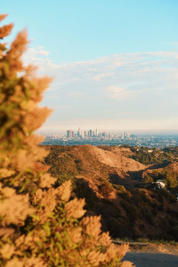 View over Los Angeles skyline from Griffith Park hills