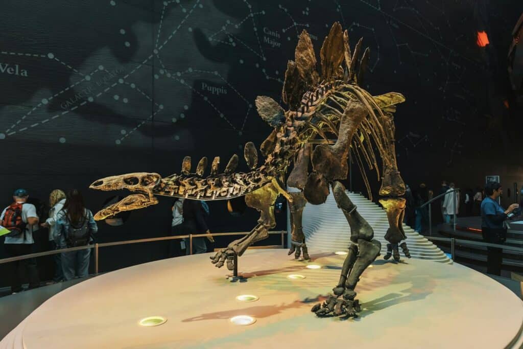 Top Things to Do in Dallas During the World Cup 2026 15 Dinosaur skeleton exhibit inside the Perot Museum of Nature and Science in Dallas