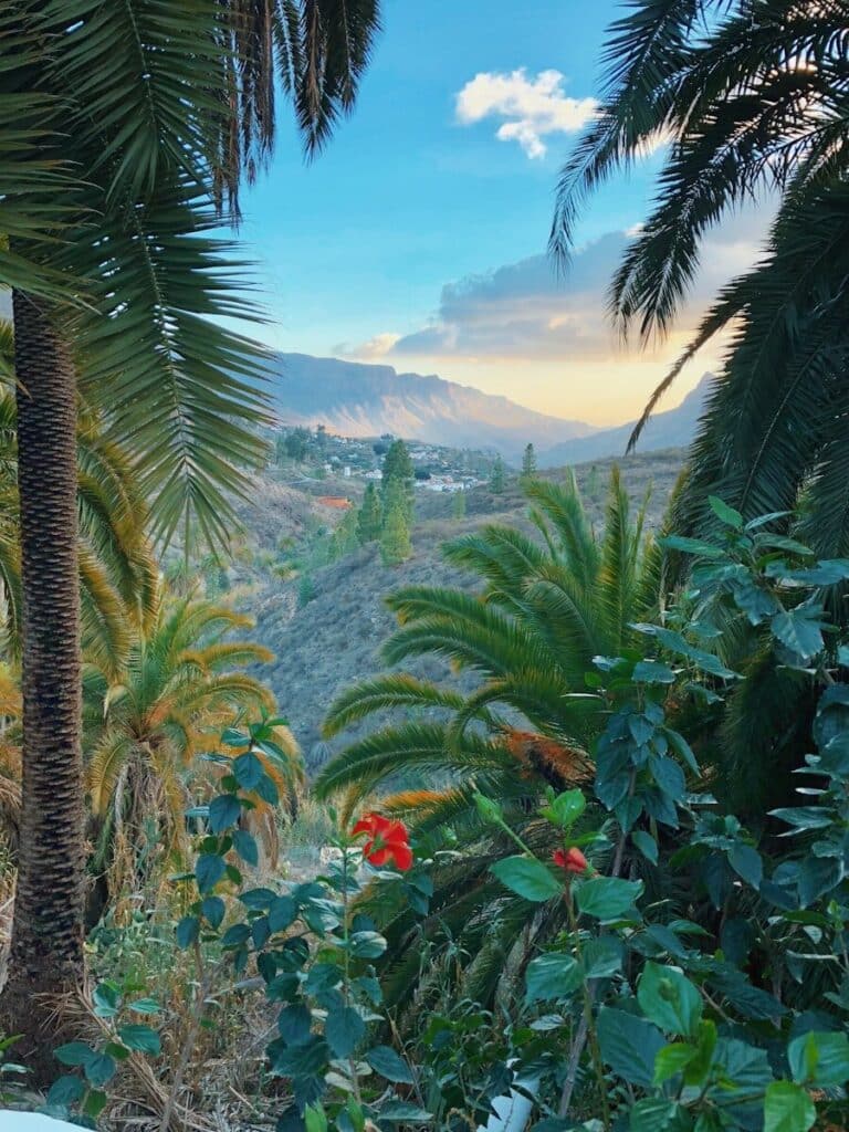 lush landscape Canary Islands mountains palm trees Spain