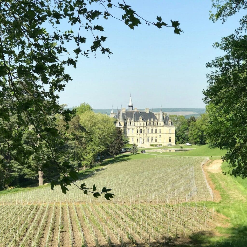 eSIM or Physical SIM in France? Pros, Cons & Best Pick for Travellers 2026 10 Loire Valley château surrounded by vineyards and green trees in summer