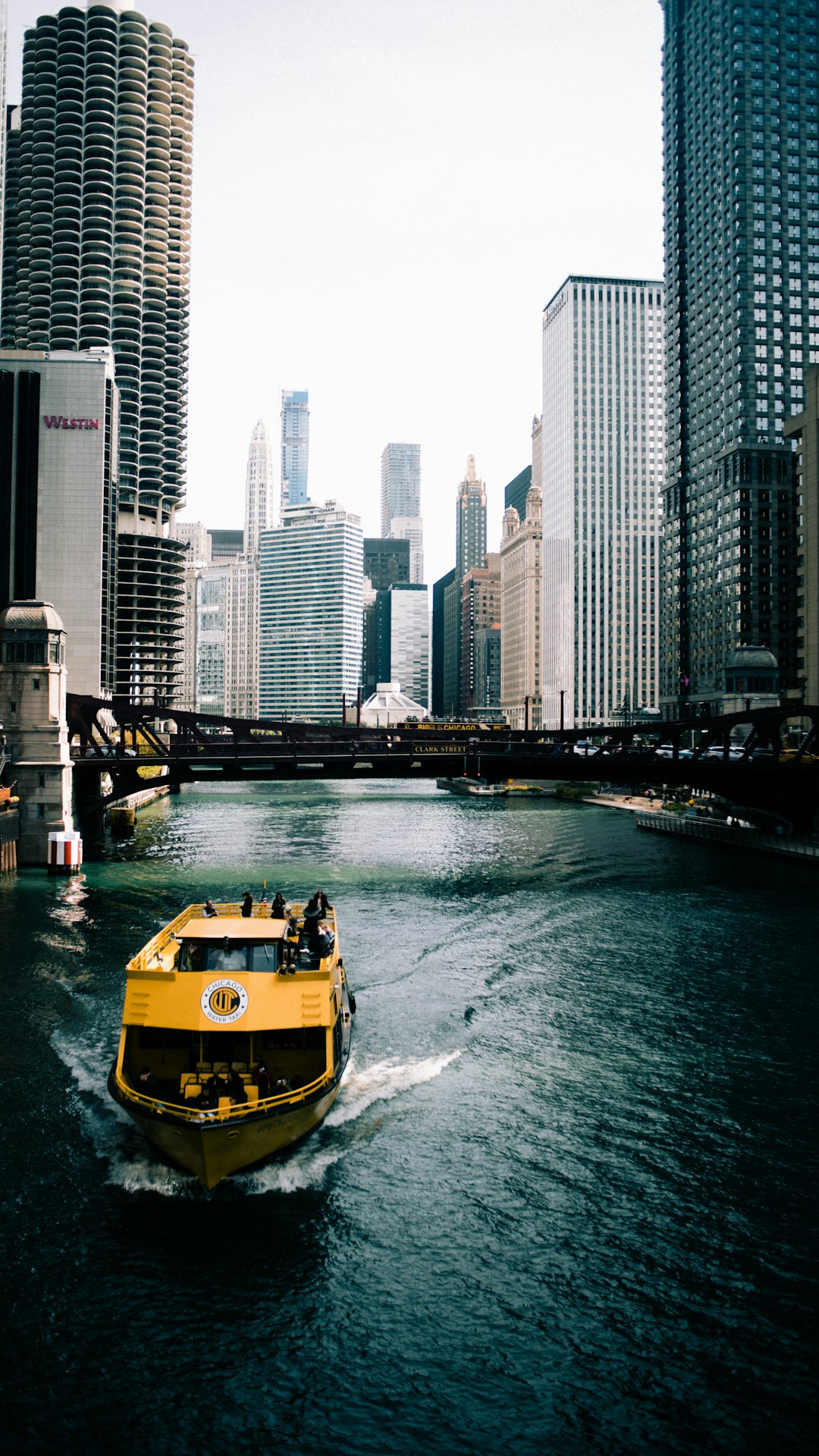 Yellow and black tour boat on the water near high-rise buildings