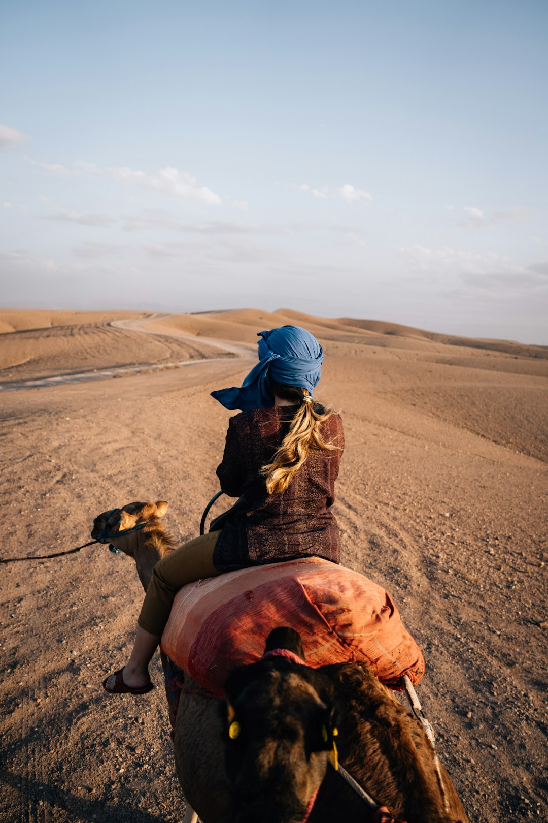 person riding a camel through desert dunes at sunset in Morocco