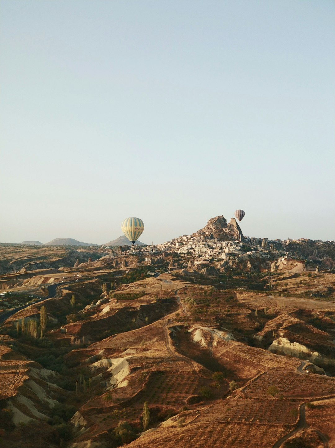 hot air balloon floating above a valley landscape
