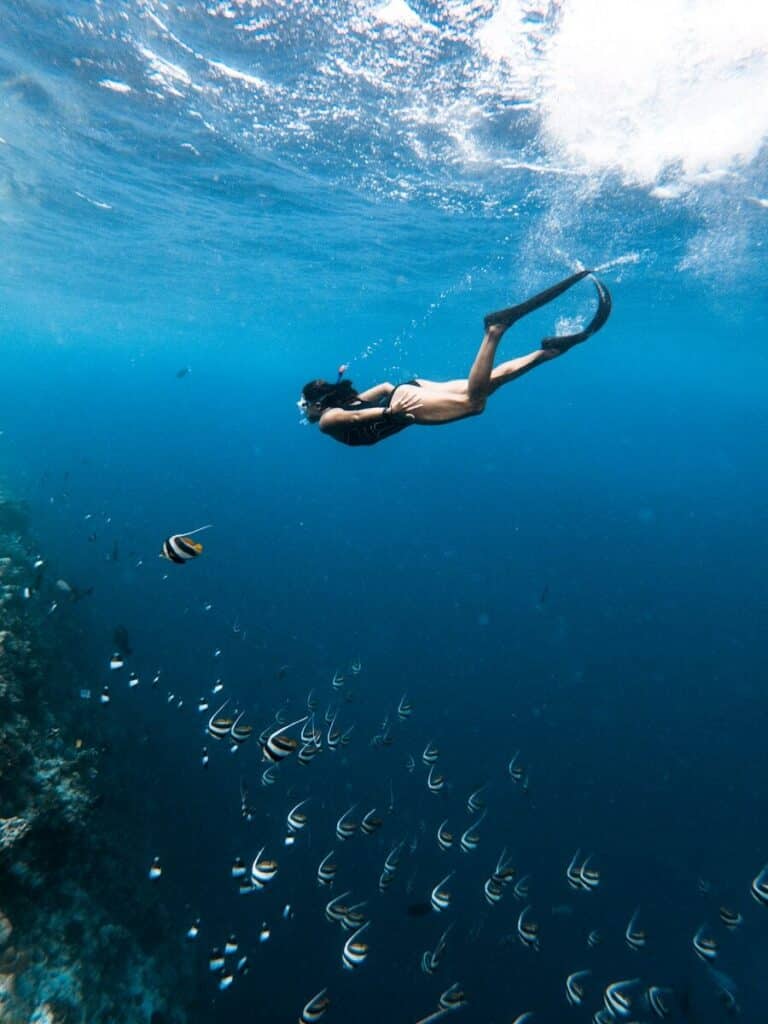 freediver swimming underwater above a school of fish in clear blue water in Thailand