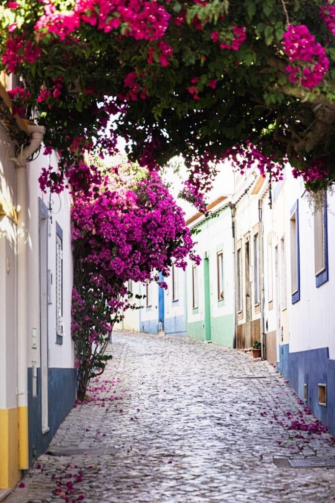 eSIM Portugal vs Roaming: Best Way to Stay Connected as a Traveler in 2026 8 narrow cobblestone street in the Algarve with bright pink bougainvillea and white houses