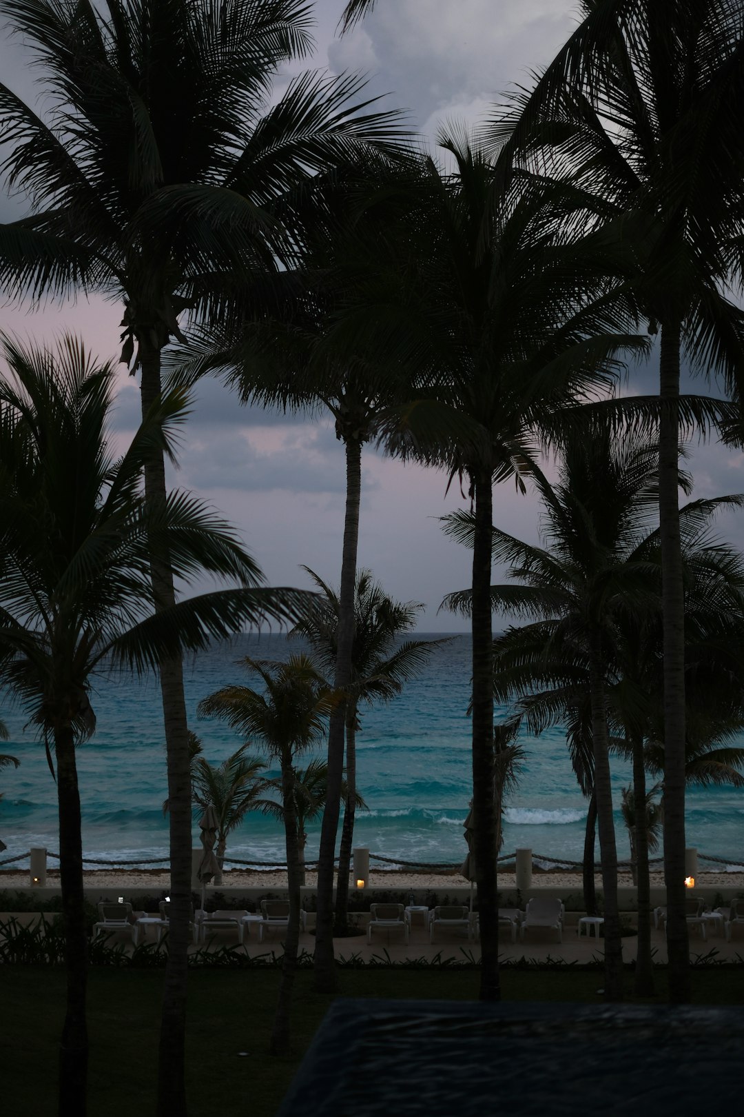 Do You Need a SIM Card in Japan? Your Data Options Explained (2026) 17 palm trees silhouetted against an ocean horizon at twilight