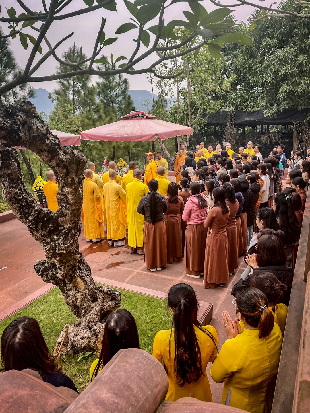 Where to Go in Southeast Asia in Summer: Best Destinations by Month 27 Monks in yellow robes leading an outdoor ceremony