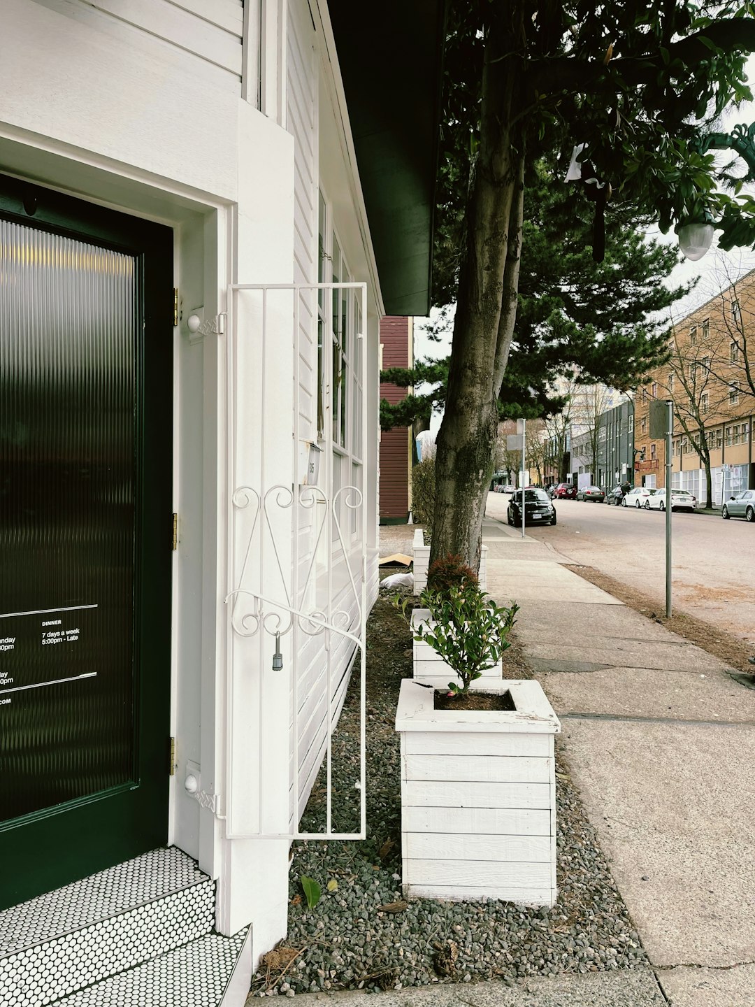white planter beside a tree on a Canadian sidewalk
