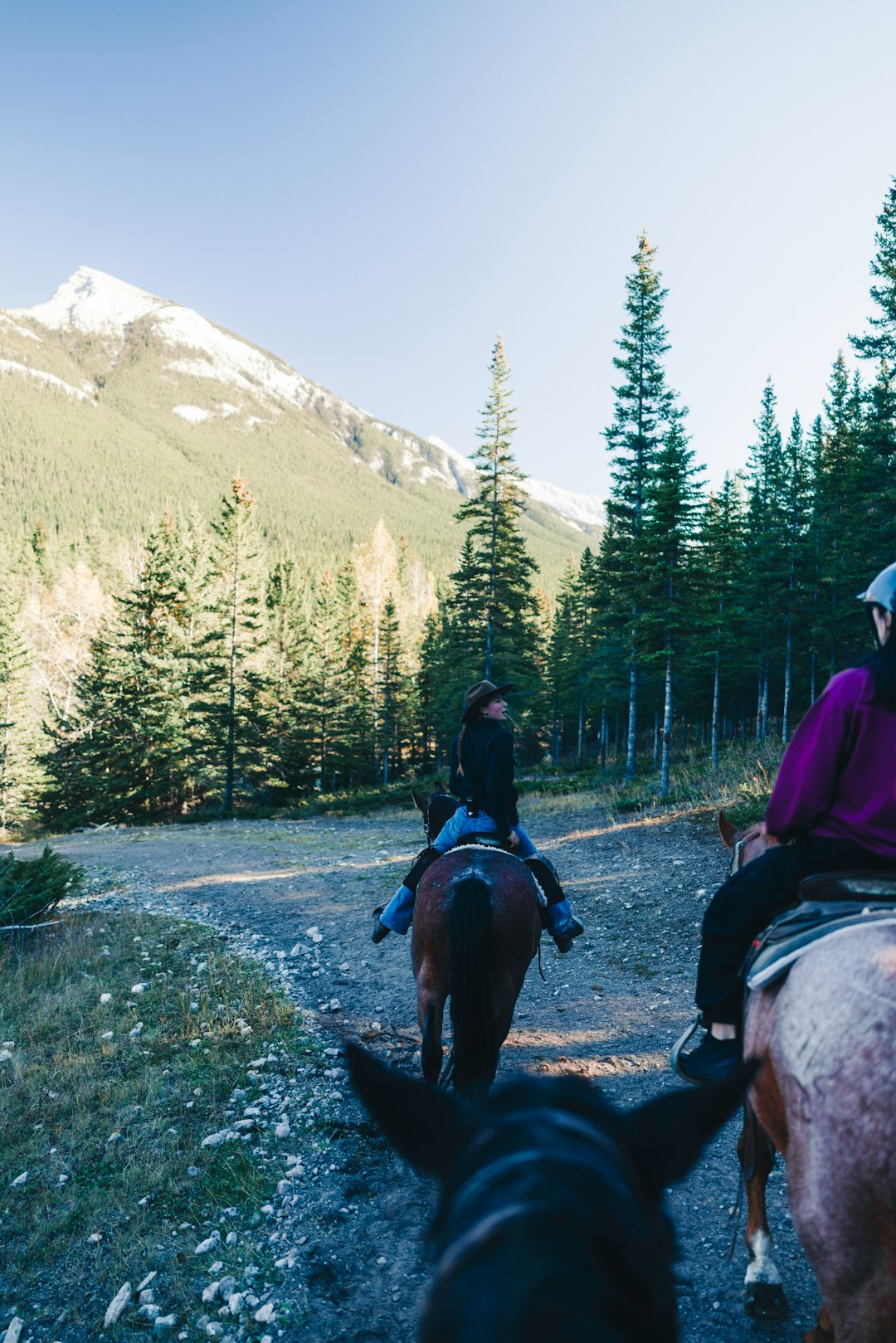 people riding horses along a mountain trail in Canada