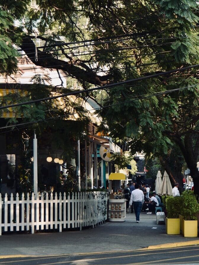 Café-lined street in Roma Norte Mexico City with people walking under trees