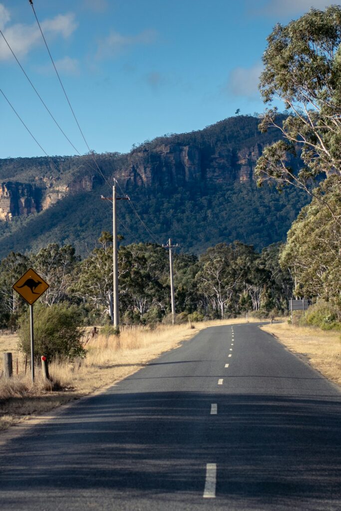 Road through Megalong Valley with the Blue Mountains in view