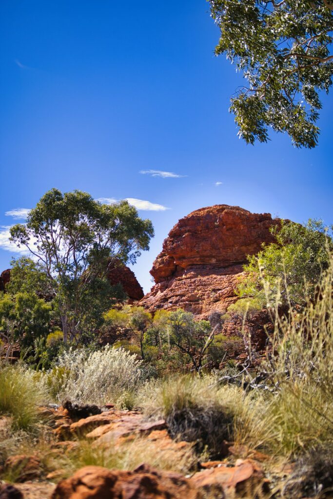 Red rock formations under a clear blue sky