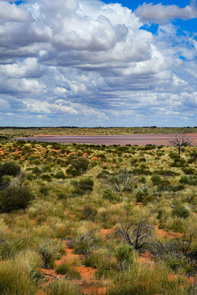Arid landscape with a distant pink lake in the outback