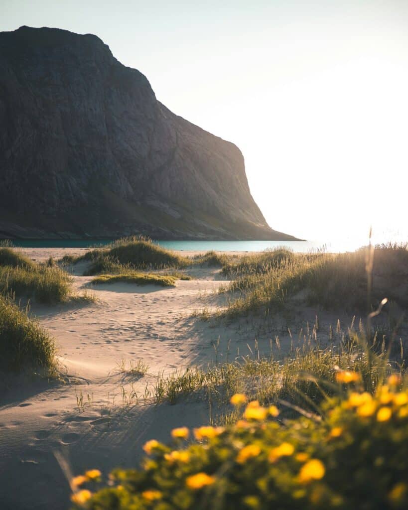 A scenic beach curves along the coastline of the Lofoten Islands