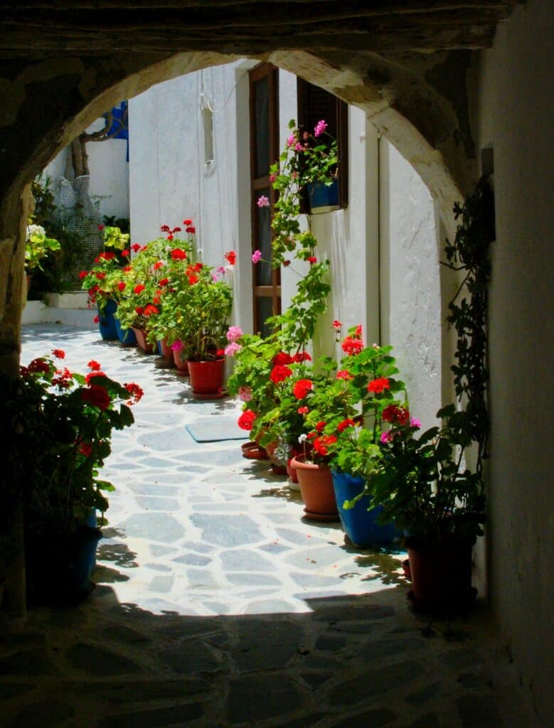 Stone walkway lined with potted flowers in a Cyclades island village