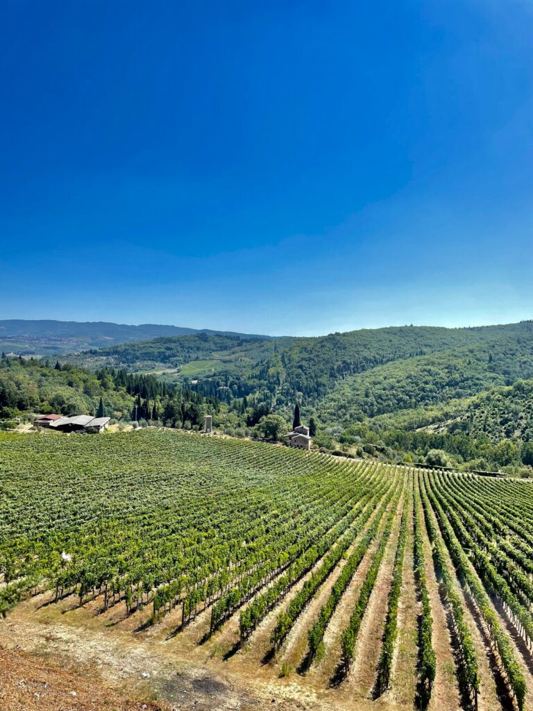 Vineyard views during a Tuscany wine tour