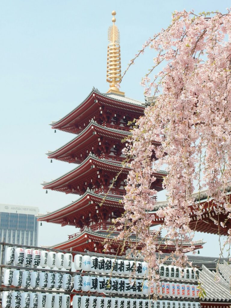 A pagoda stands framed by blooming cherry blossoms in spring
