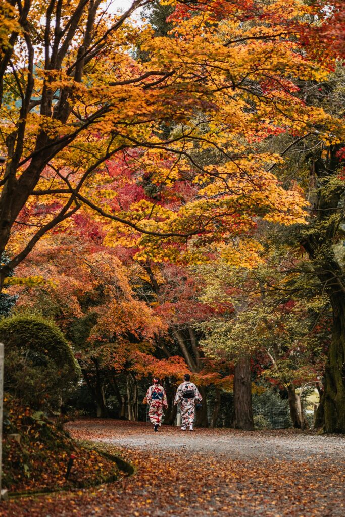 Travelers walk along a path covered in fallen autumn leaves