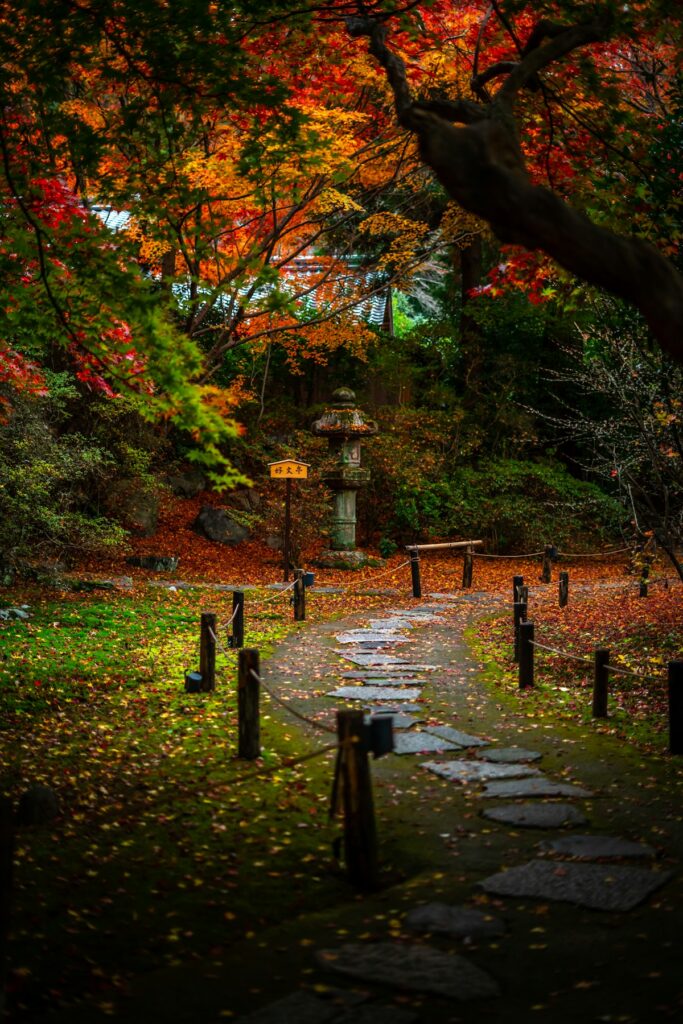 A quiet path winds through a wooded area in autumn
