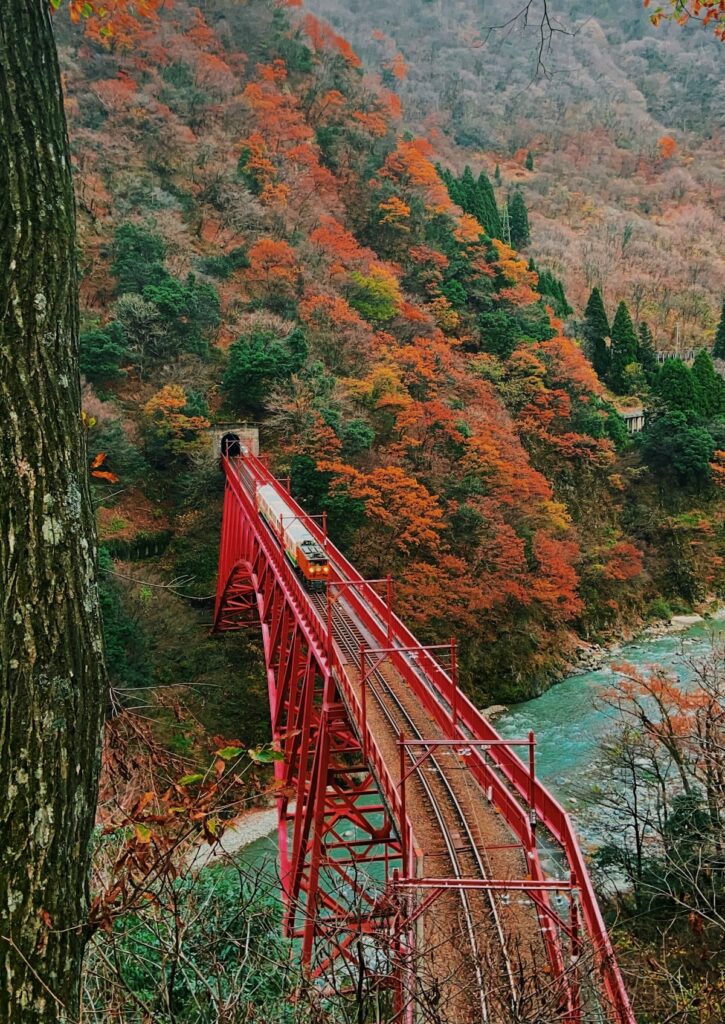 Vivid autumn foliage covers the mountains of the Kurobe region