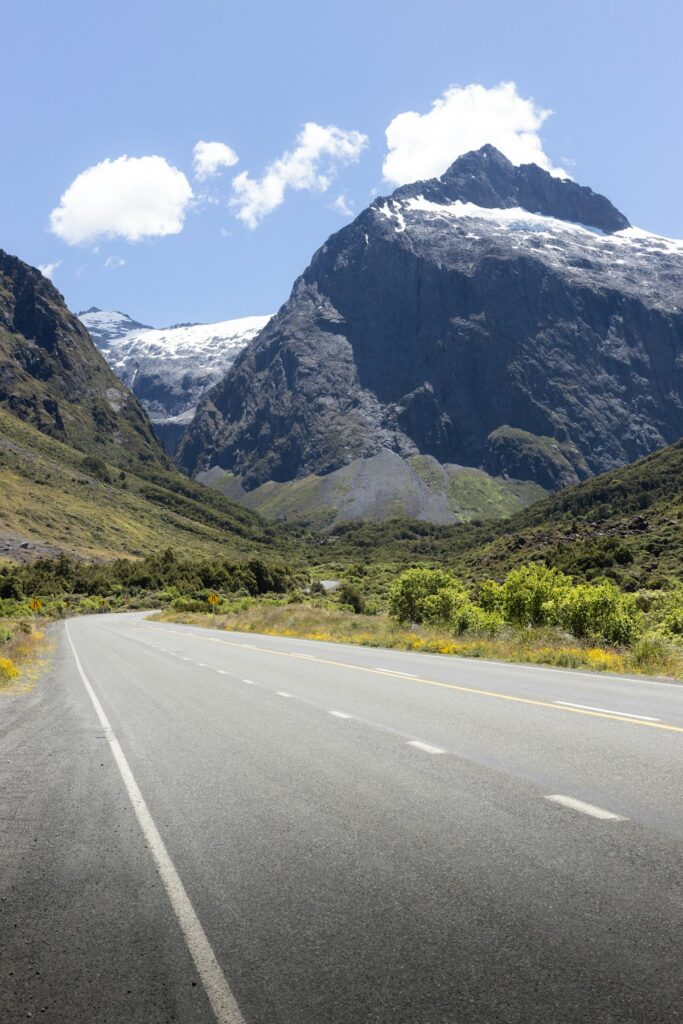 Best Internet Options for Travellers in New Zealand (2026) 6 path leading toward Milford Sound in New Zealand