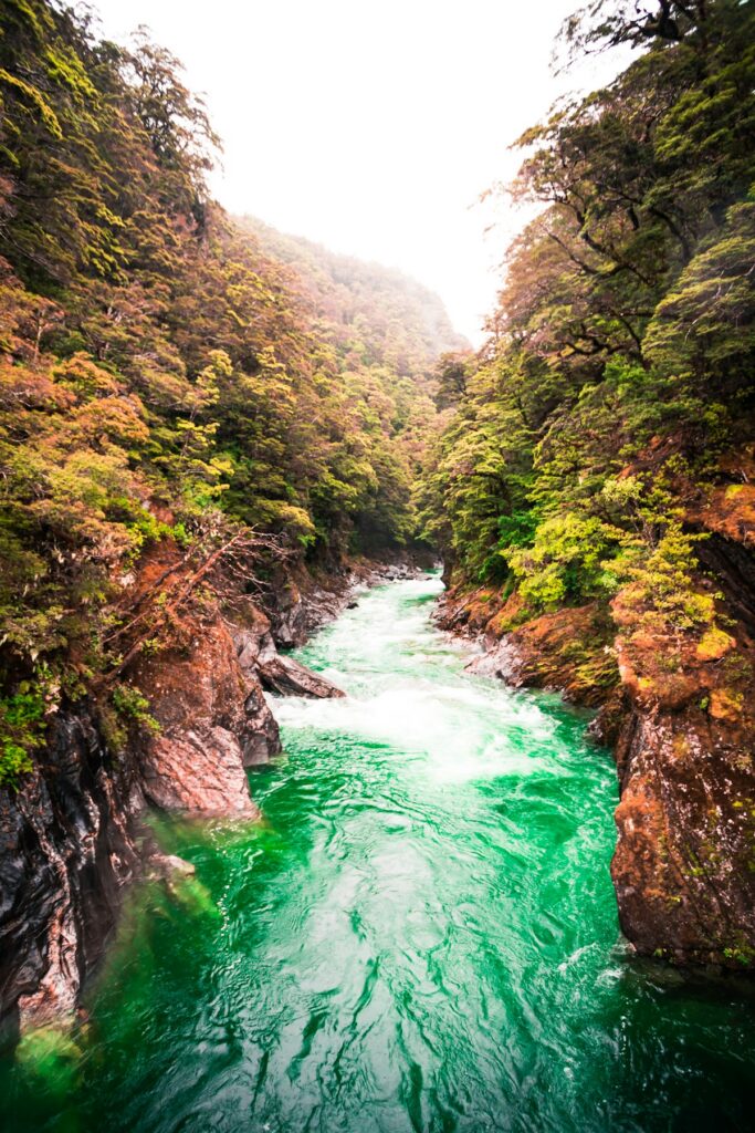 Best Internet Options for Travellers in New Zealand (2026) 8 moody cloud-covered landscape in New Zealand's countryside