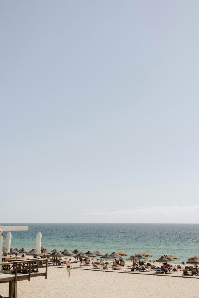 Best Beaches in Portugal: A Guide to the Country's Top Coastal Spots 20 Wide, quiet beach in Comporta backed by pine forest and dunes