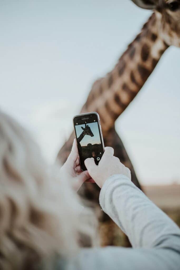 traveler holding a smartphone to activate an esim south africa plan